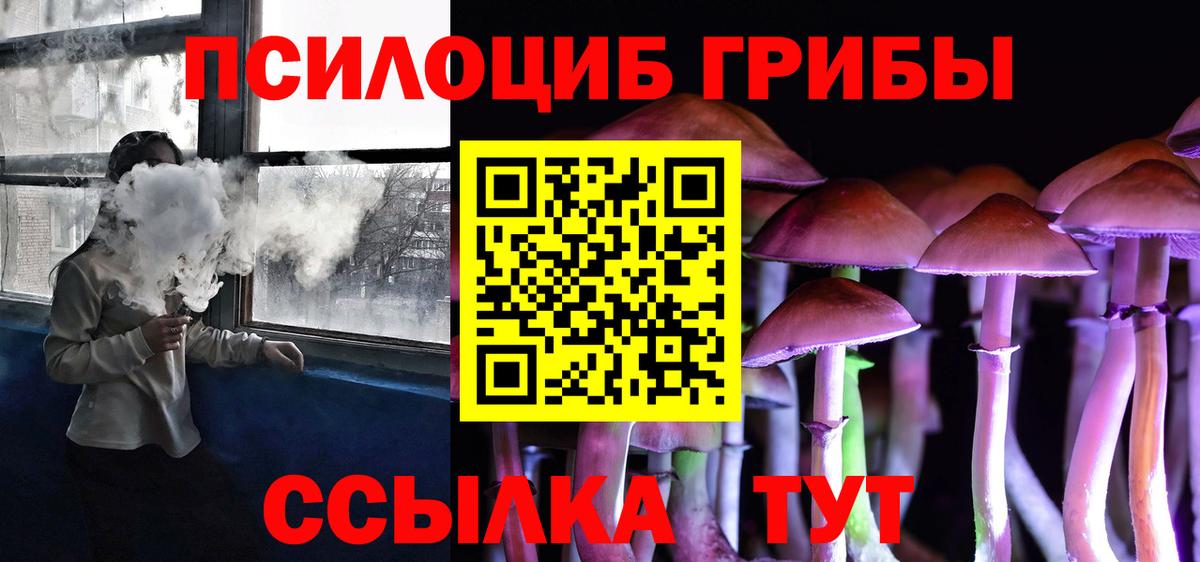 Зеленодольск  наркотики  Вход с VPN  Псилоцибиновые грибы Psilocybine cubensis 