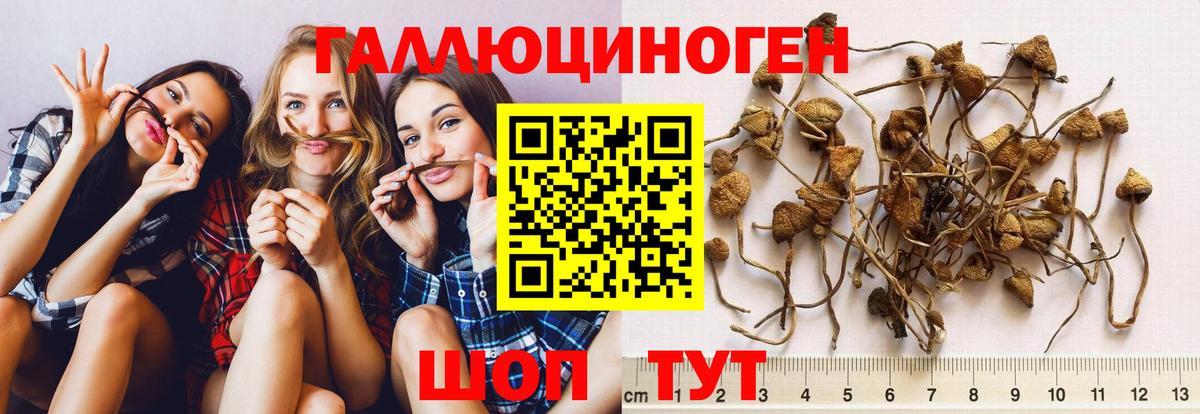 Галлюциногенные грибы MAGIC MUSHROOMS Зеленодольск