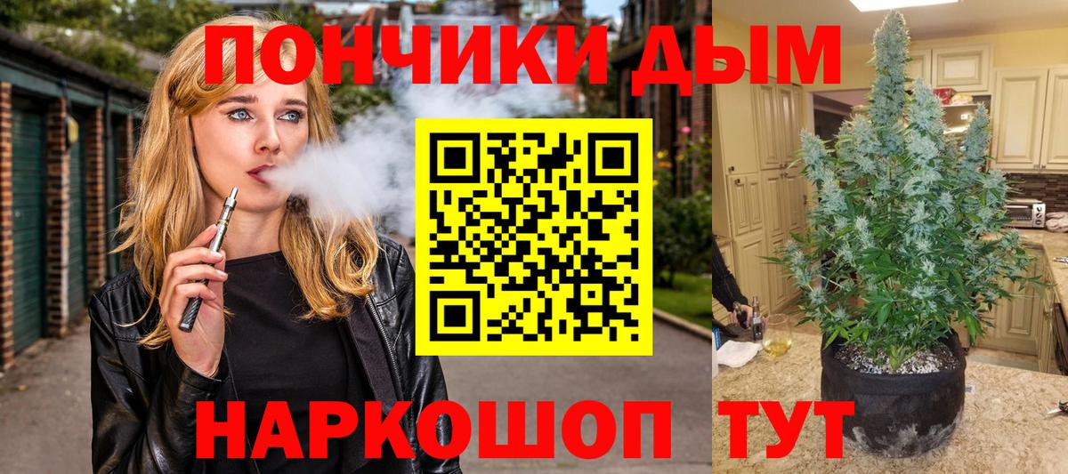 Бошки Шишки семена Зеленодольск